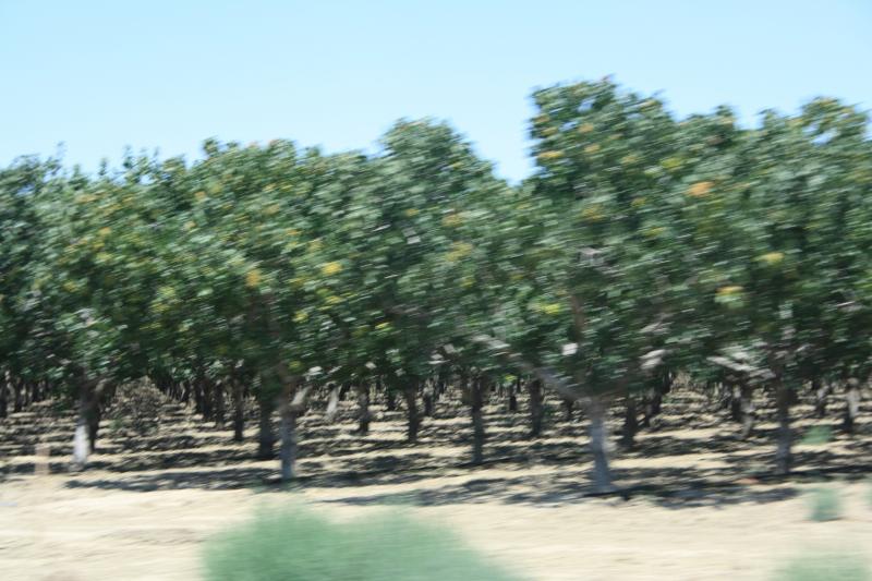 IMG_6155.JPG