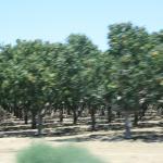 IMG_6155.JPG