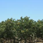 IMG_6156.JPG