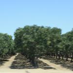 IMG_6164.JPG