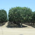 IMG_6165.JPG