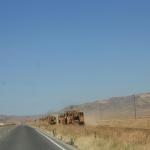 IMG_6166.JPG