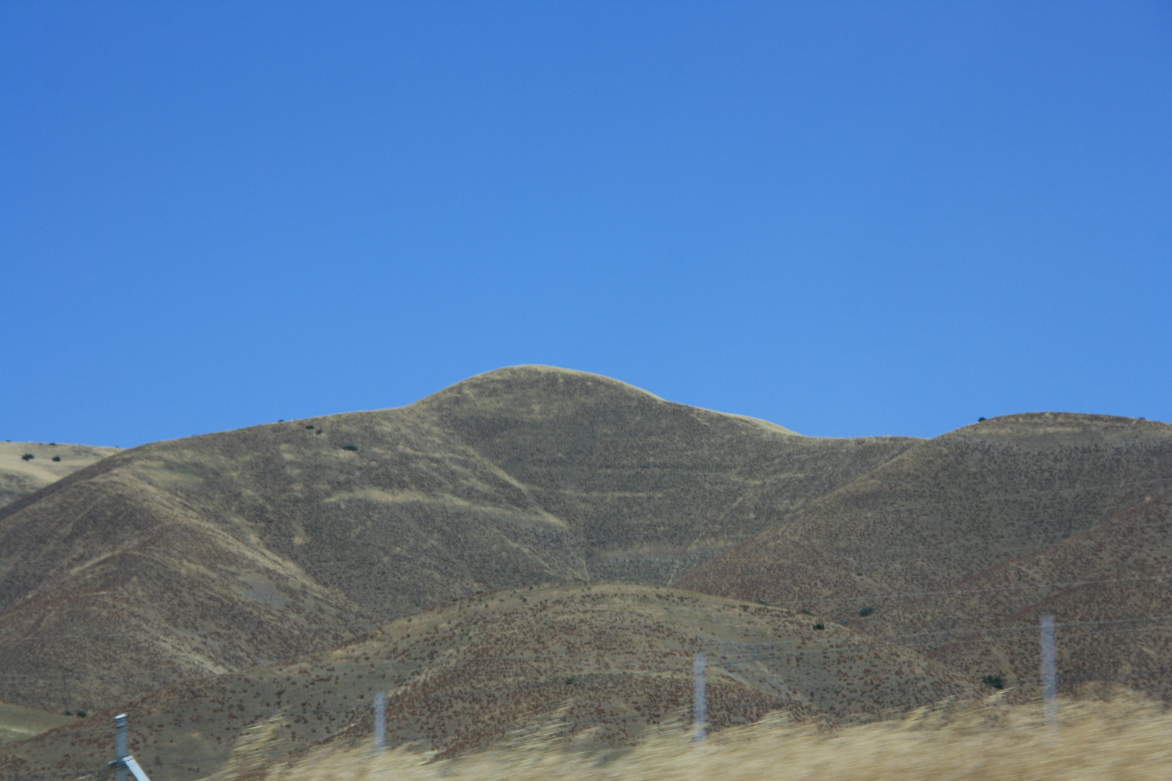 IMG_6178.JPG