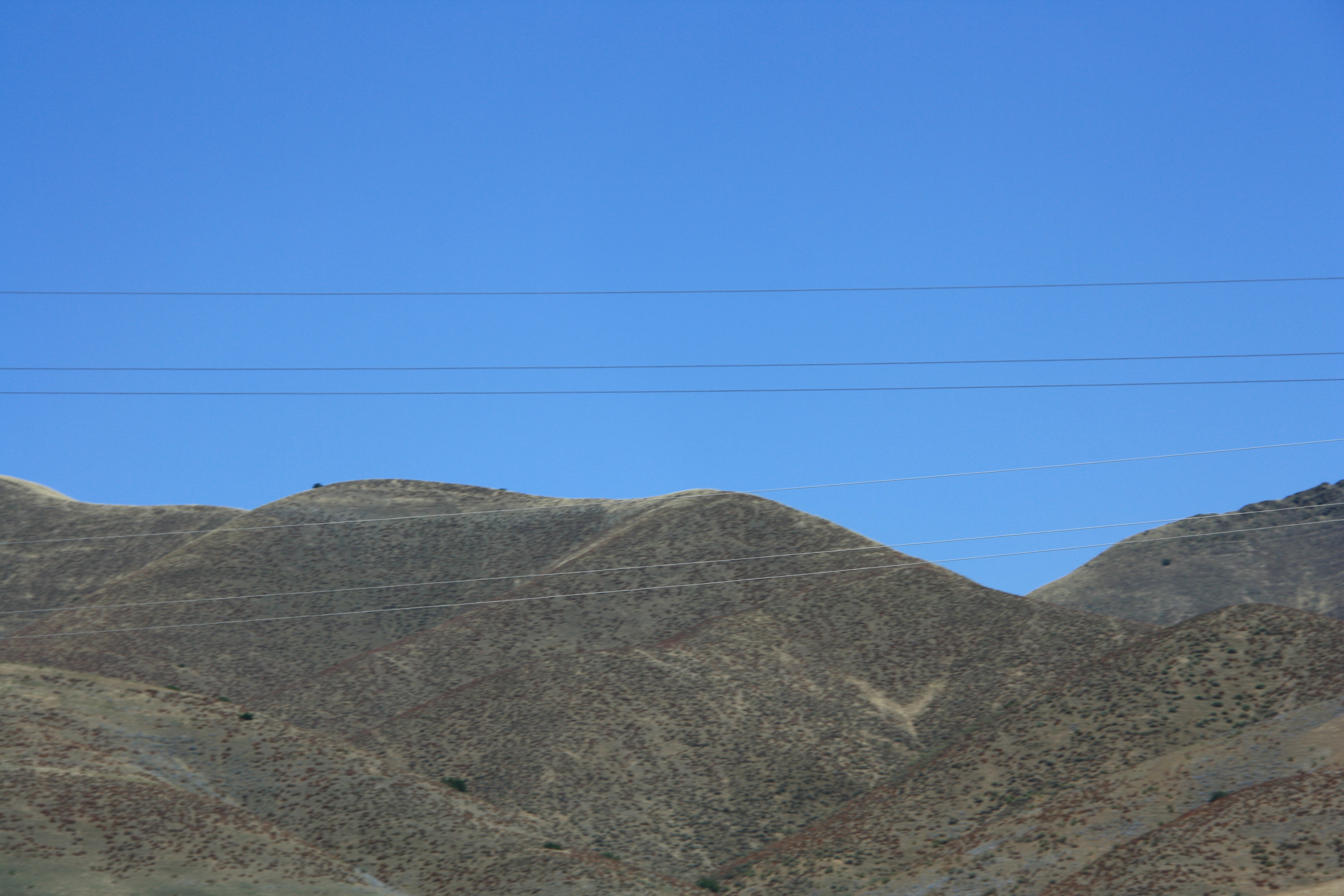 IMG_6180.JPG