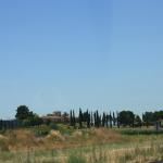 IMG_6203.JPG