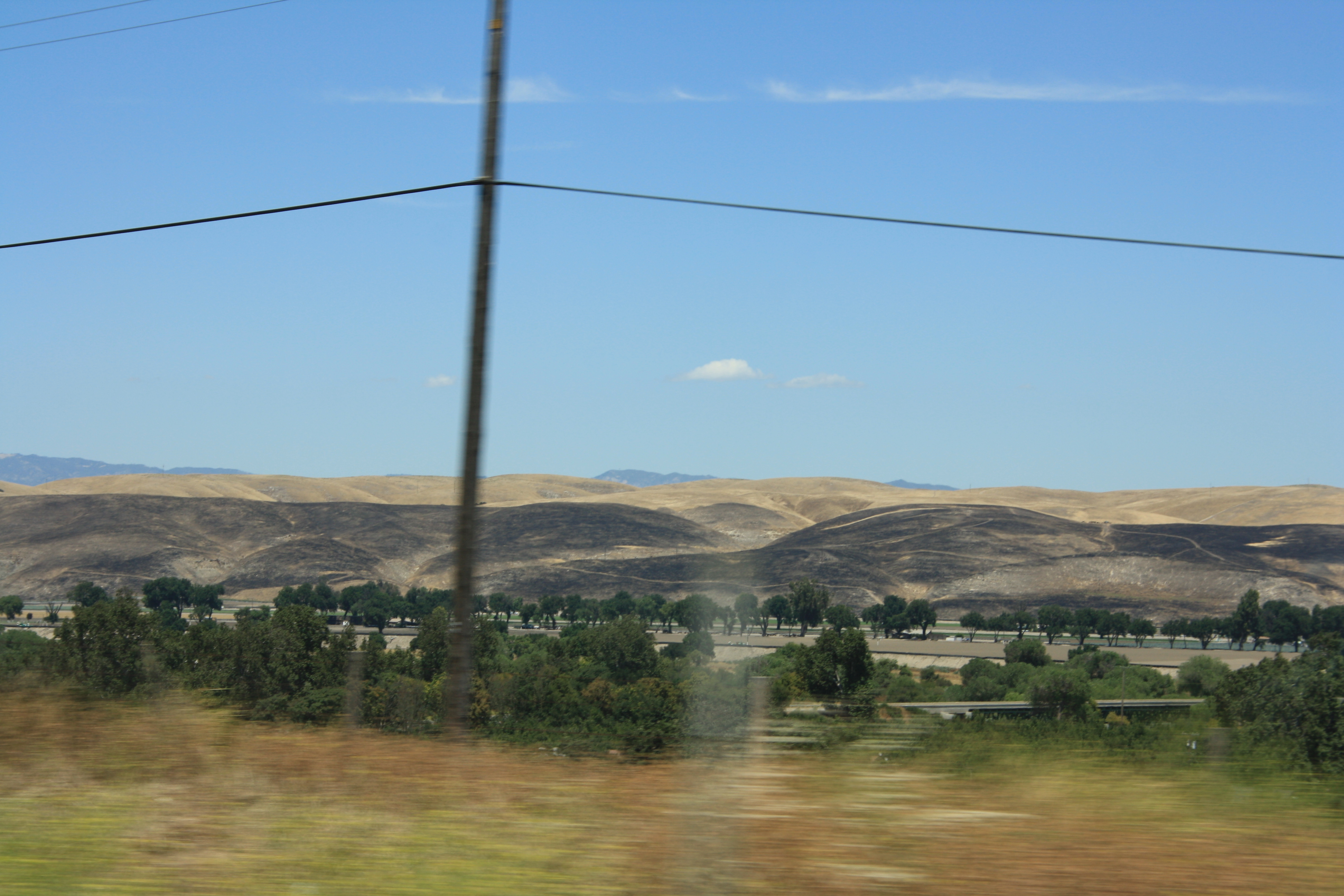 IMG_6217.JPG