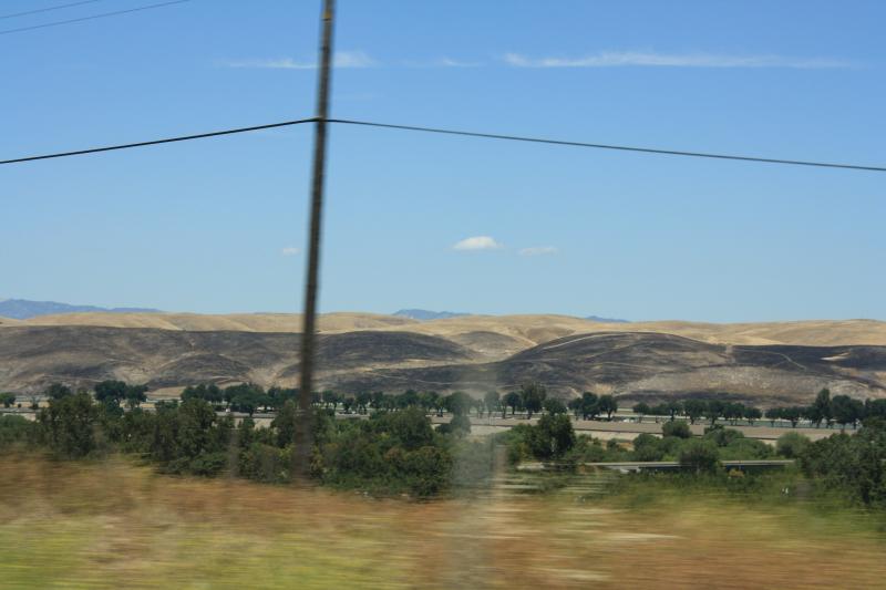 IMG_6217.JPG