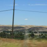 IMG_6217.JPG