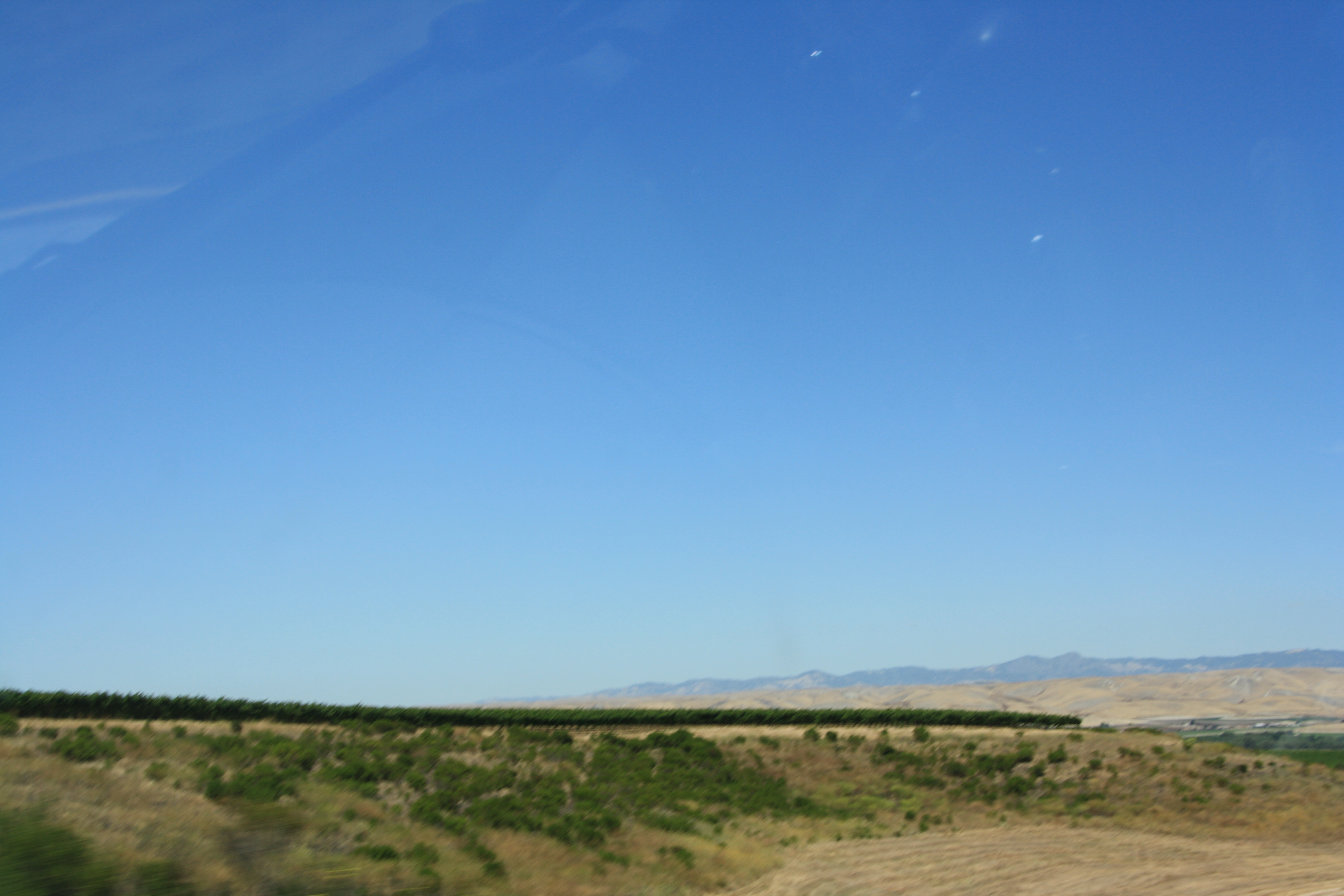IMG_6218.JPG
