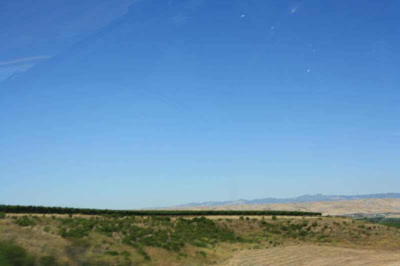 IMG_6218.JPG