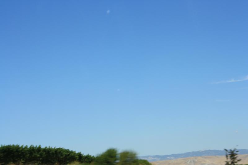 IMG_6219.JPG