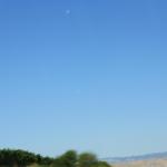 IMG_6219.JPG