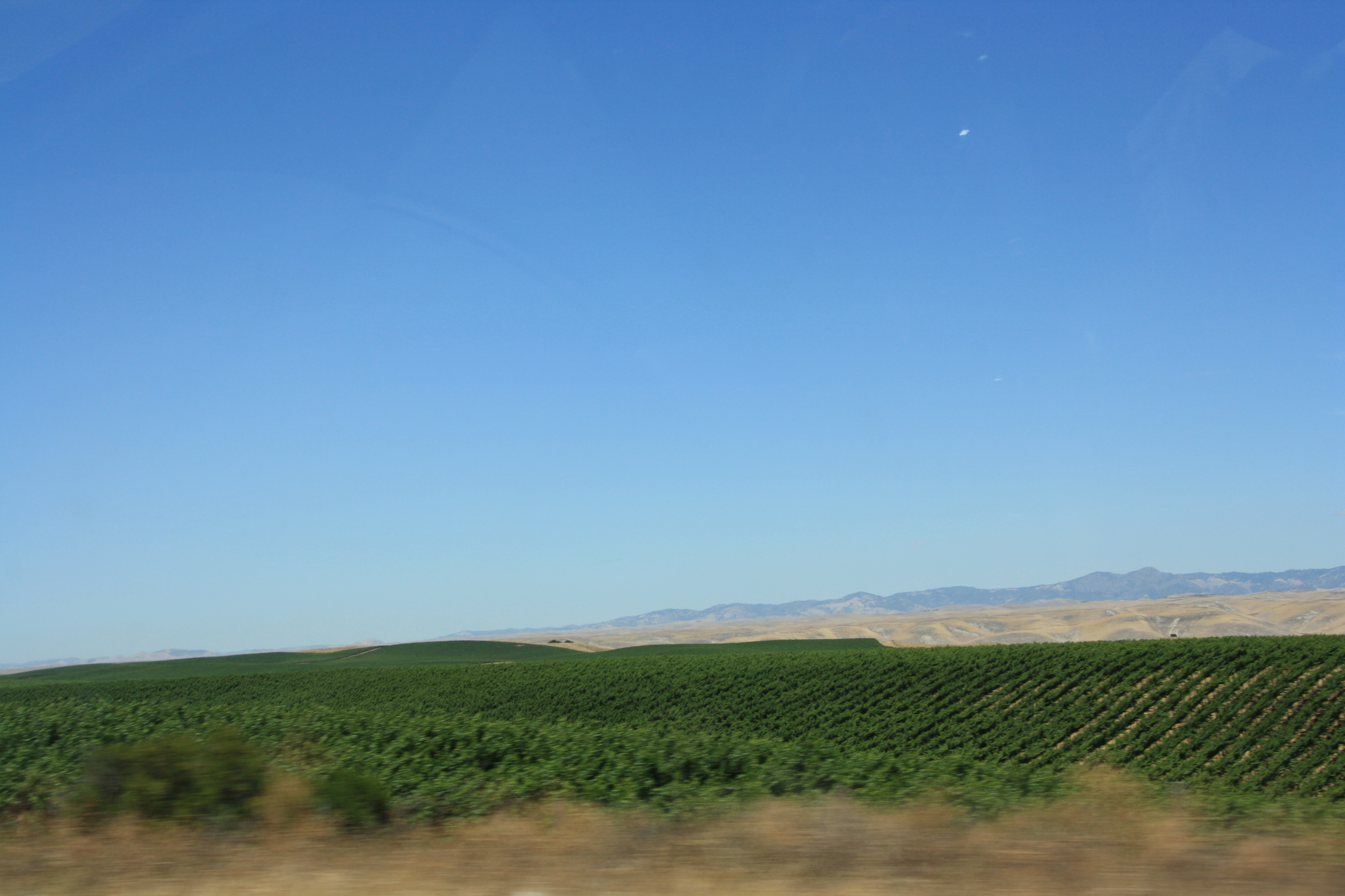 IMG_6221.JPG