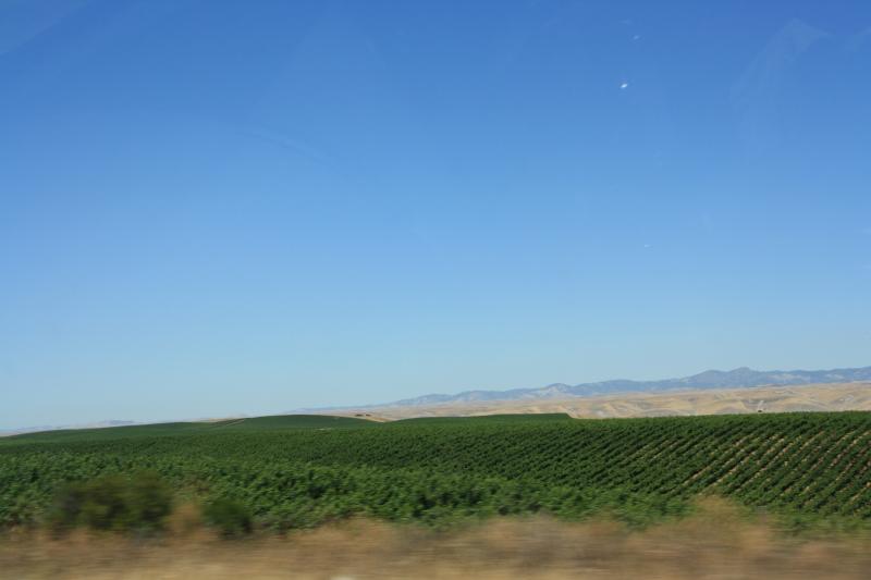 IMG_6221.JPG