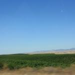 IMG_6221.JPG