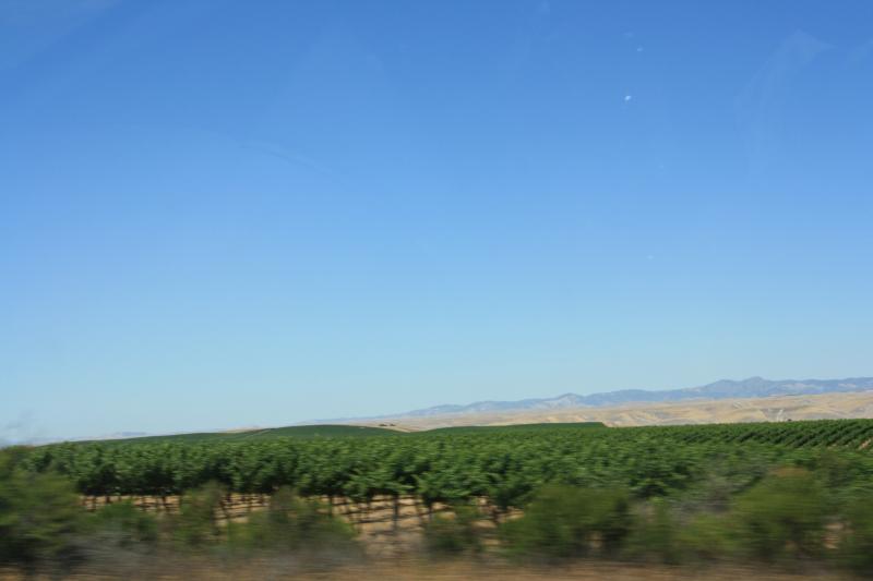 IMG_6222.JPG