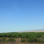 IMG_6222.JPG