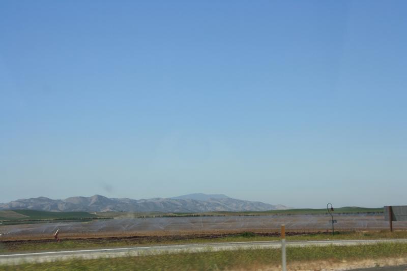 IMG_6225.JPG