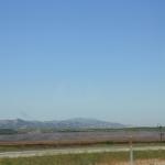 IMG_6225.JPG