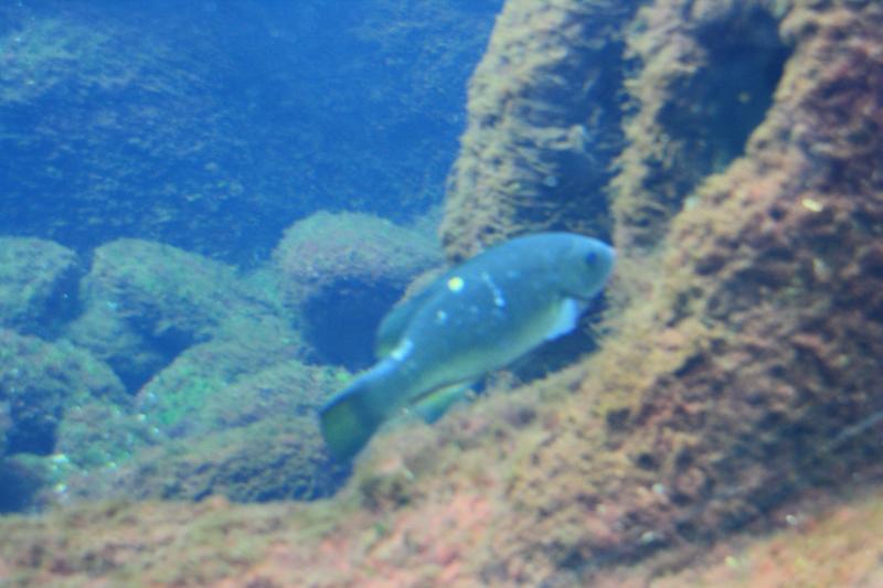 IMG_6236.JPG
