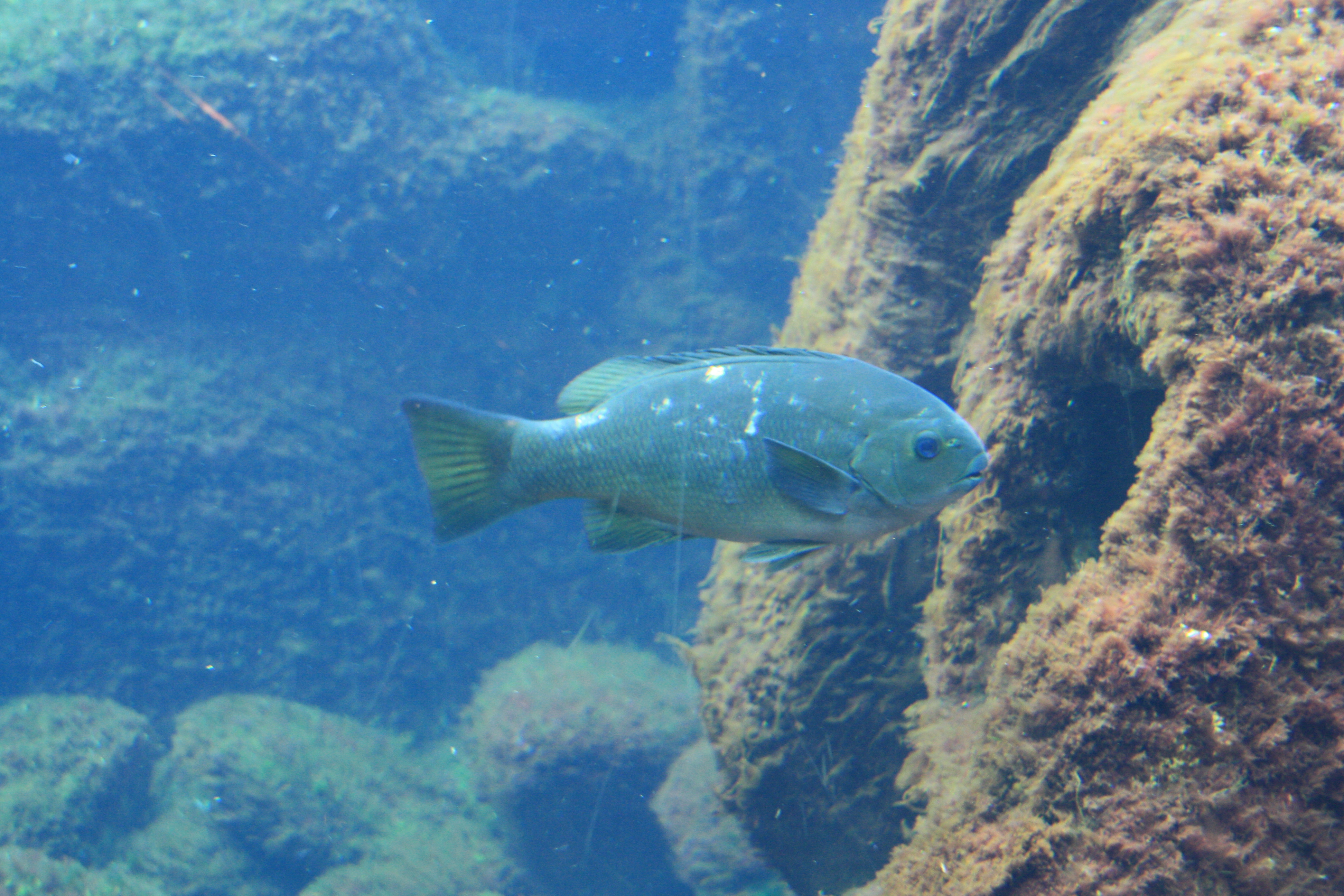 IMG_6237.JPG