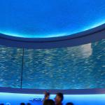 IMG_6244.JPG