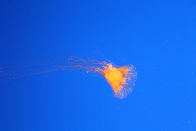 IMG_6250.JPG