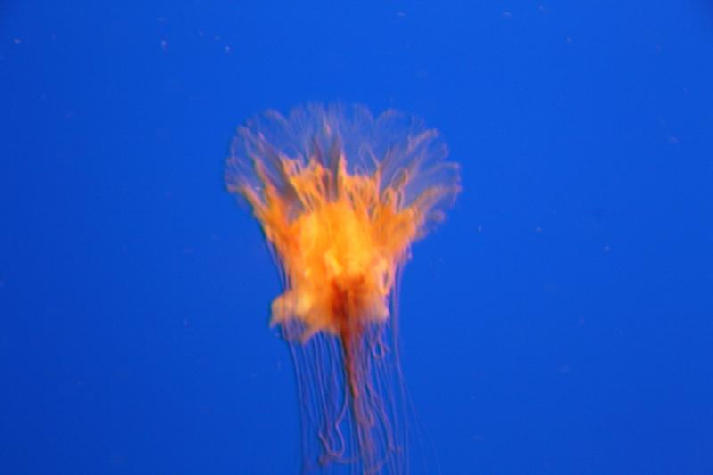 IMG_6251.JPG