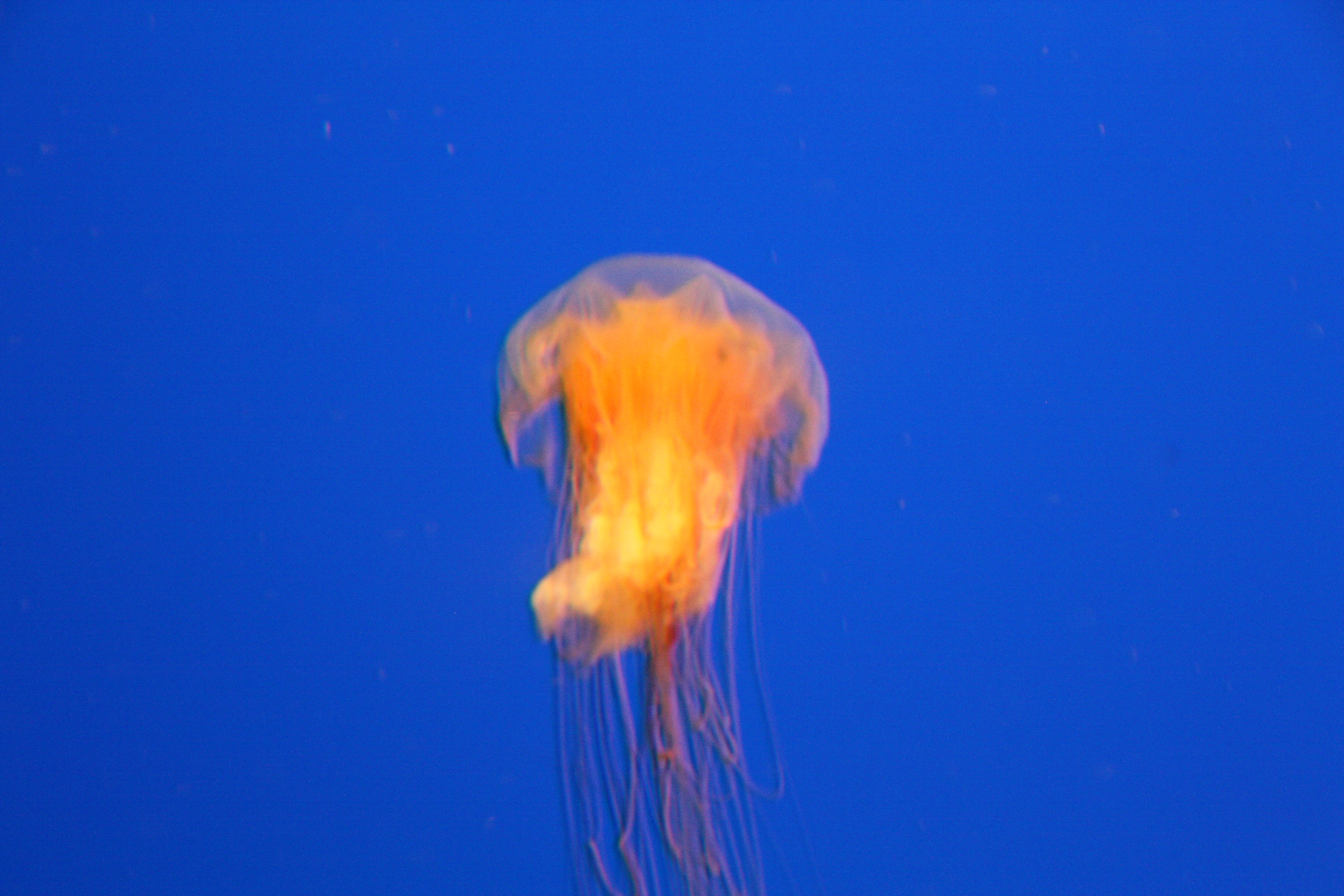 IMG_6252.JPG