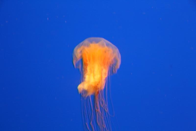 IMG_6252.JPG