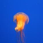 IMG_6252.JPG
