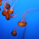 IMG_6254.JPG