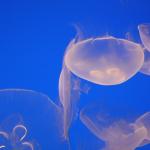 IMG_6256.JPG