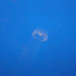 IMG_6259.JPG