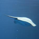 IMG_6261.JPG