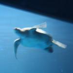 IMG_6262.JPG