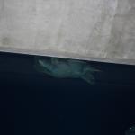IMG_6263.JPG