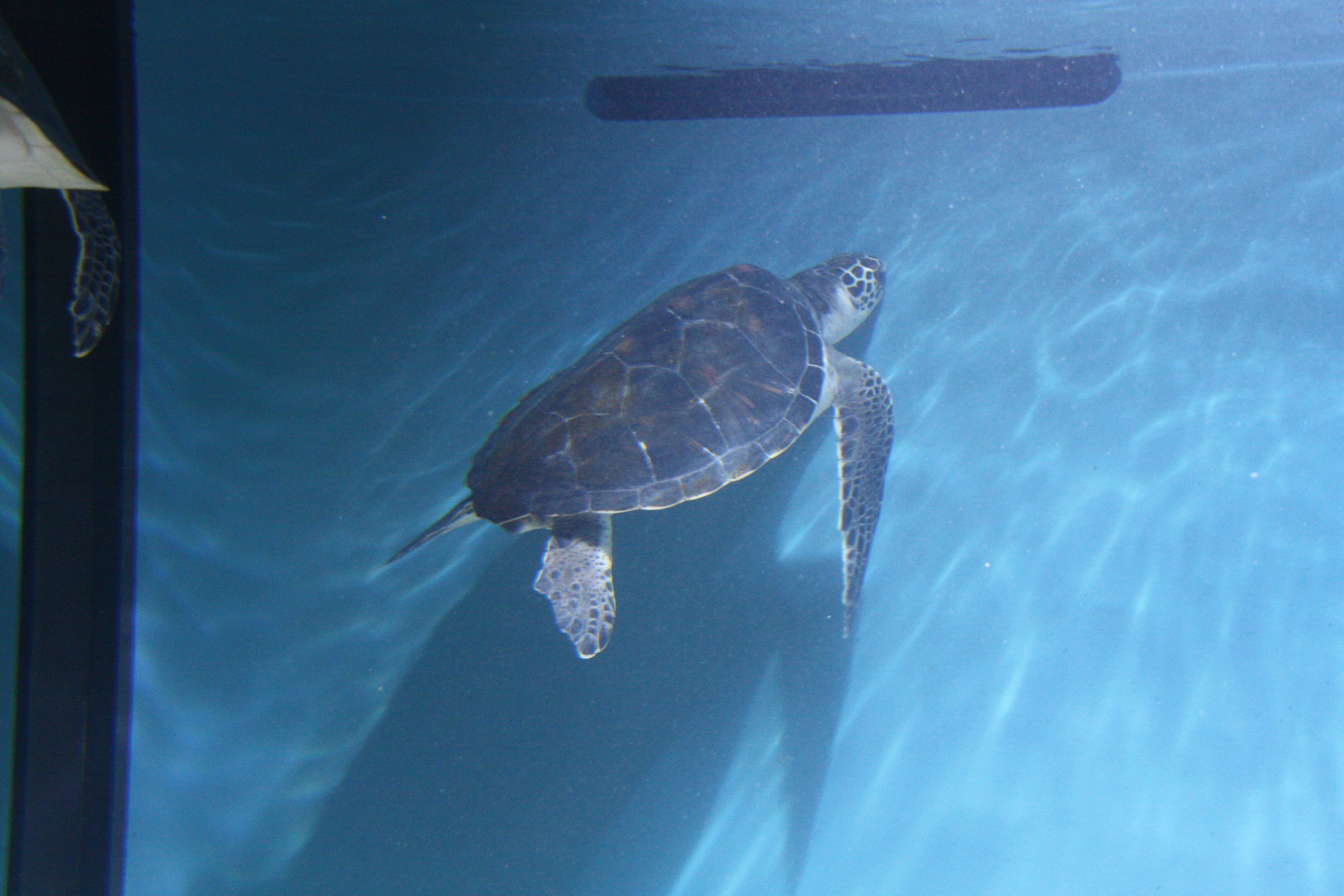 IMG_6265.JPG