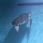 IMG_6265.JPG