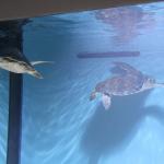 IMG_6266.JPG