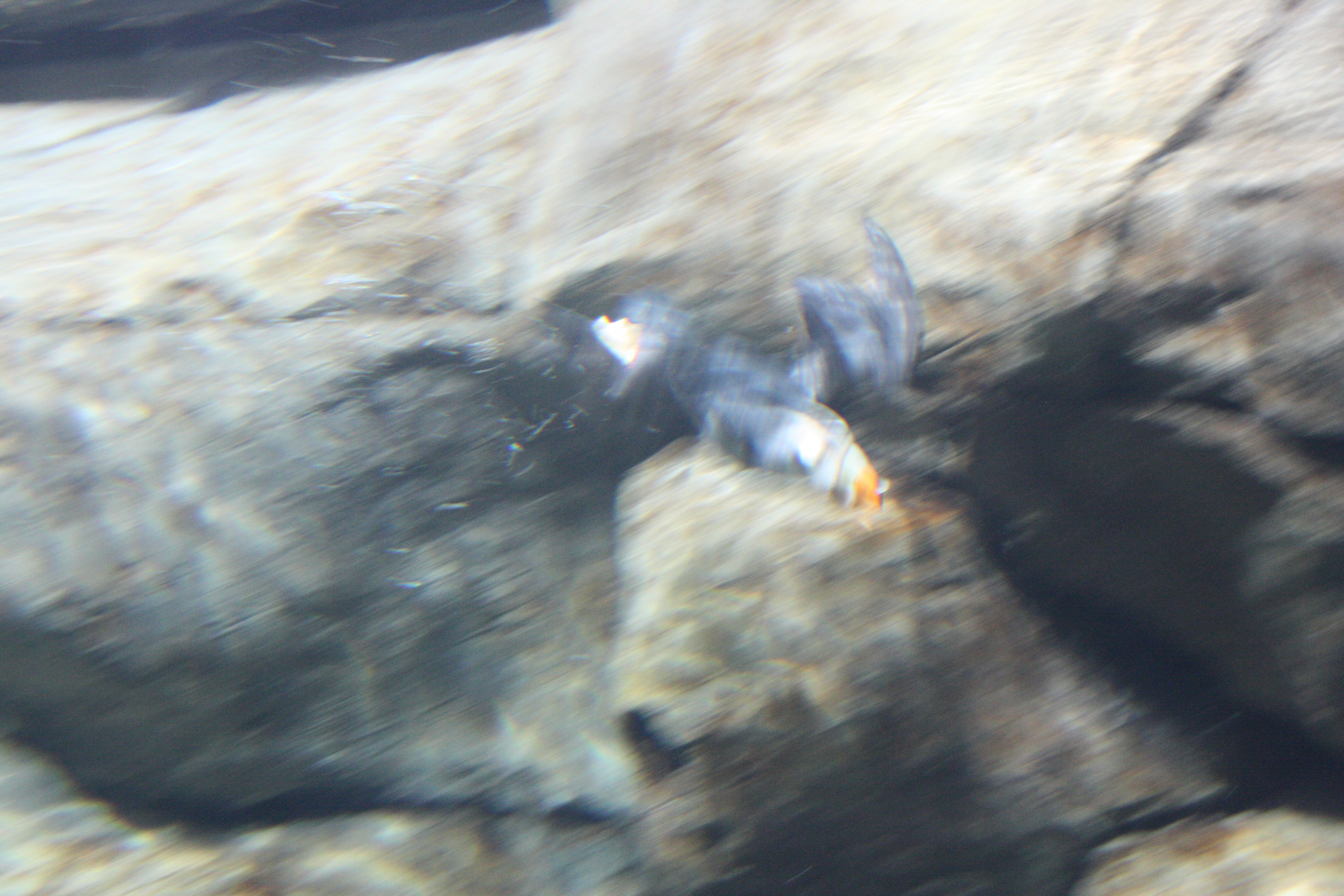 IMG_6271.JPG