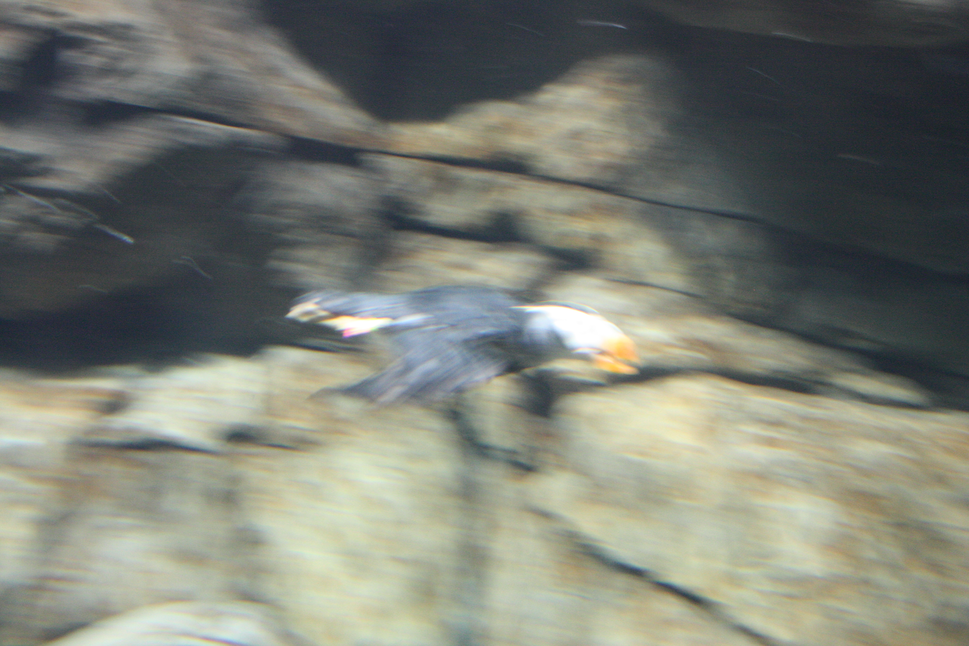IMG_6272.JPG