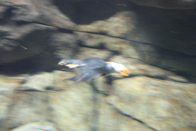 IMG_6272.JPG