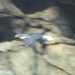IMG_6272.JPG