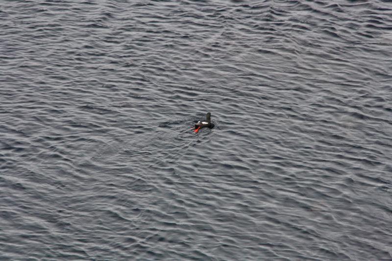 IMG_6285.JPG