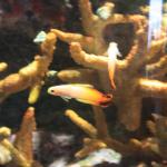 IMG_6296.JPG