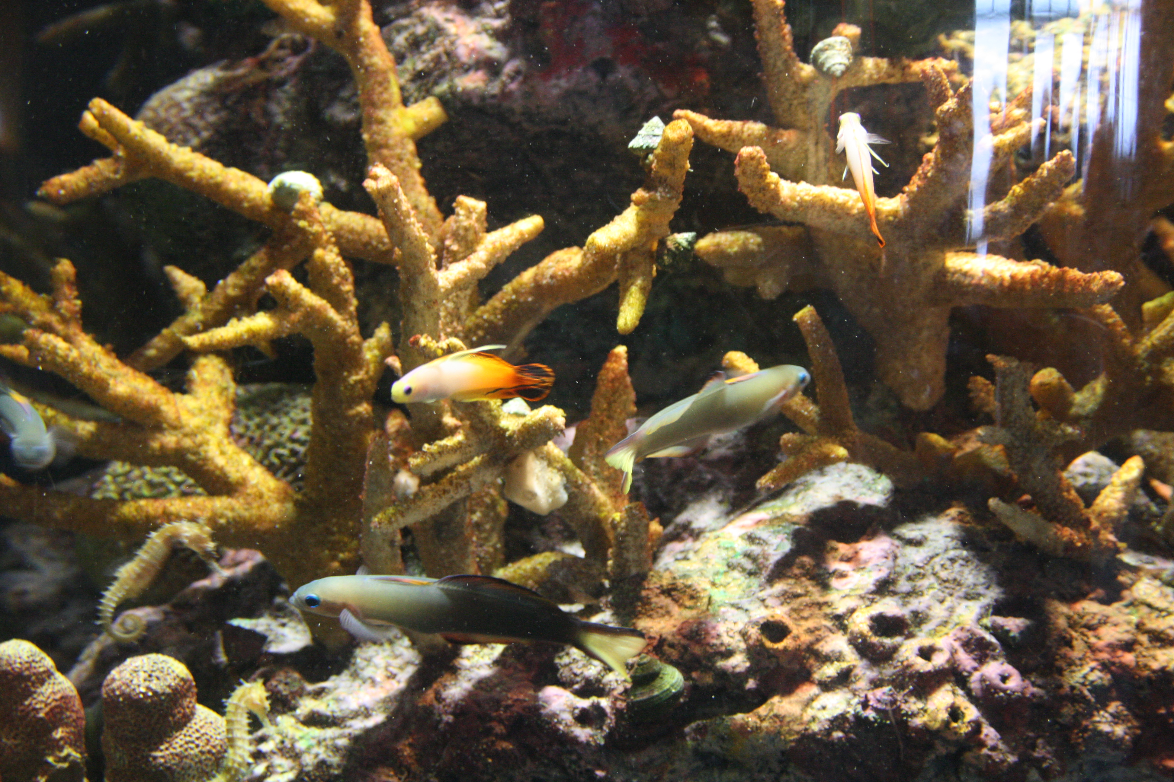 IMG_6297.JPG