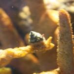 IMG_6298.JPG