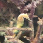 IMG_6301.JPG