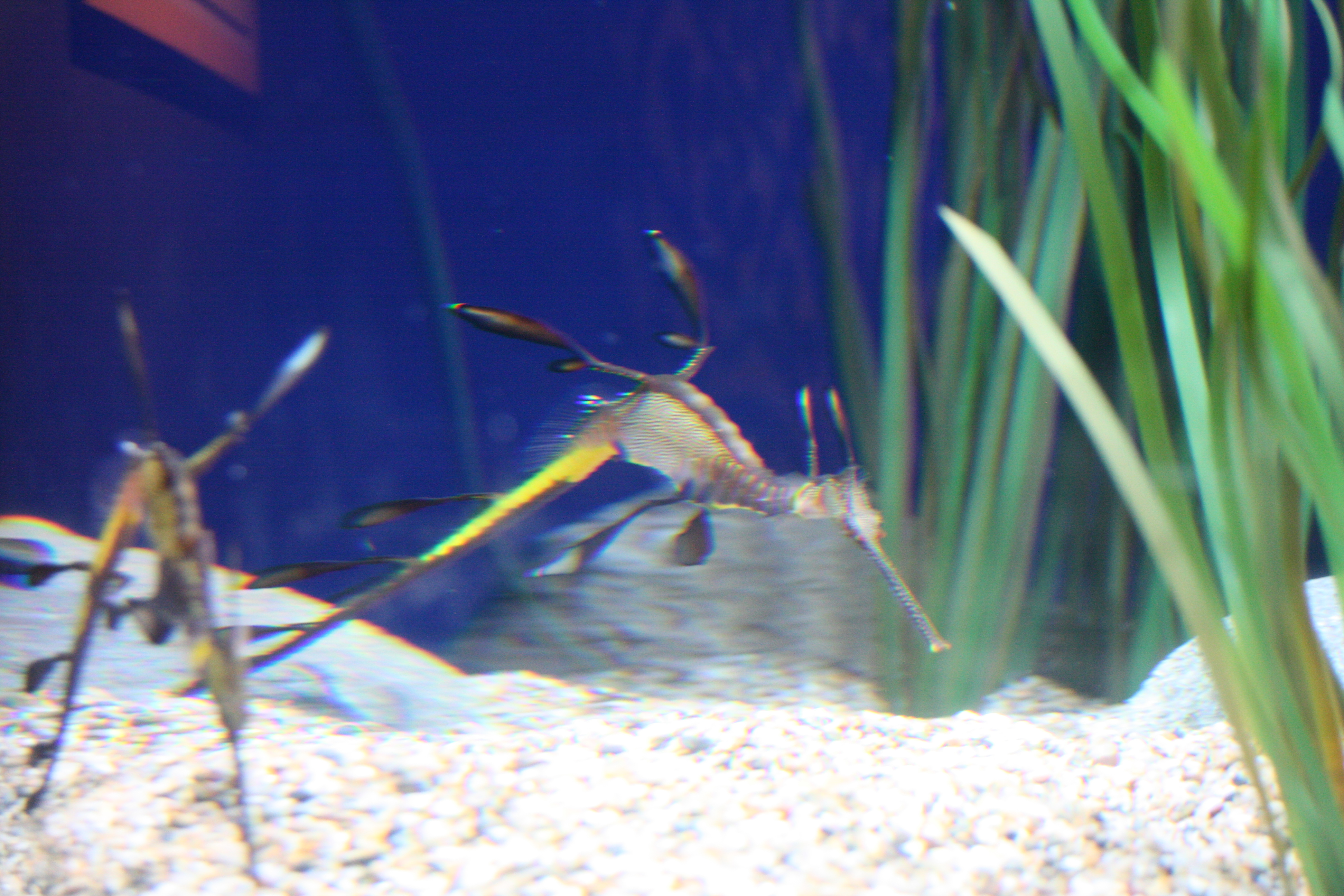 IMG_6305.JPG